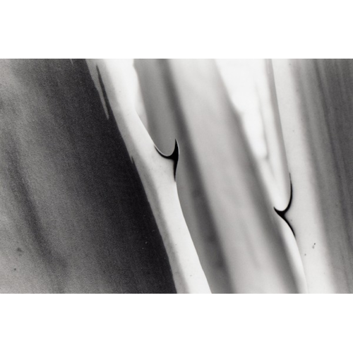 Get Closer No. 21